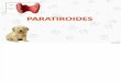 Paratiriodes Fisiología Animal