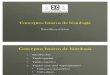 110216 Conceptos Basicos de Histologia MANOLO