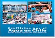 Larraín-Conflictos del agua en Chile_Zona Centro