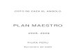 Plan Maestro CC El Angolo