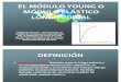 Modulo Young