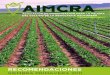 Revista Aimcra 107-Web