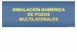 Simulacion Numerica Pozos Multi Later Ales