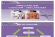 Pre Cancer - Cancer Melanoma