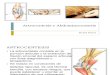 Artrocentesis y Abdominocentesis