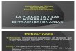 La Placenta y Las Membranas Extraembrionarias U12