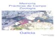 Memoria Prácticas Zoología