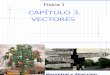 CAPÍTULO 3. VECTORES