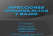 Infecciones Urinaria Altas y Bajas