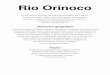 Rio Orinoco