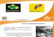 Presentacion Fondo Emprendimiento-2012- Ppt