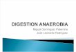Digestion Anaerobia (1).Pptx Diapositivas