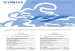 Yamaha YZF-R1 2010 - Manual del usuario