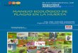 Control Ecologico de Plagas en La Huerta-Cordoba