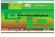 Guia Formativa: Floricultura 33, CECyTEH Gobierno Hidalgo 2012