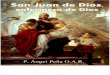 San Juan de Dios Enfermero de Dios de Padre Ángel PeNa O.A.R