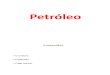 Clase de Petróleo PDF