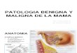 16.Patología Benigna y Maligna De La Mama