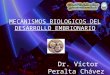 Clase I MECANISMOS BIOLÓGICOS DEL DESARROLLO EMBRIONARIO