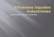 Efluentes Liquidos Industriales