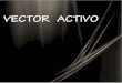 Exposicion Vector Activo