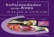 92635006 Atlas Enfermedades de Las Aves