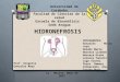 hidronefrosis presentacion