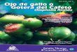2011-10 Cenicafe-boletin 37 Ojo de Gallo o Gotera en Cafe
