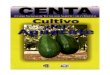 2003. CENTA. Guía Técnica del Cultivo de Aguacate