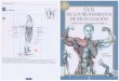 Guia Anatomica de Los Movimientos de Musculacion