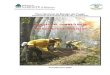 25531182 Manual Del Combatiente en Incendios Forestales PNMF 2006 (1)