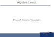 Algebra Lineal 5