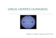 Virus Herpes Humanos