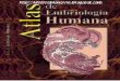 Atlas de Embriologia Hum Lahabana