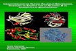 Caracterización de Nuevas Xilanasas Bacterianas. Ingenieria de Enzimas con la Xilanasa XynB de "Paenibacillus barcinonensis"