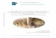 Memoria del hallazgo y excavación arqueológica de los restos óseos humanos aparecidos en el barrio Ugalde de Respaldiza (Municipio de Ayala-Aiara, Álava)