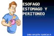 7.) Esófago-Estómago, Peritoneo (Definición, Formas y Epiplón Mayor-Menor) - Prof. Nyleth García