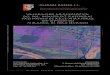 Valoración Arqueológica del Pol. Industrial Rottneros. Yacimiento de Arce-Mirapérez (09-219-0001-01). Miranda de Ebro (Burgos)
