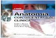 Anatomía con Orientación Clínica 6ta Edición By Keith L. Moore, Anne M. R. Agur, Marion E. Moore