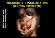 Anatomia y Fisiologia Del Sistema Endocrino