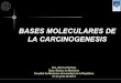 Bases Moleculares de La Carcinogenesis
