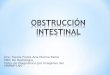 Intestino - Obstrucción Intestinal