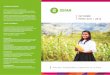 Informe Oxfam Peru 2011 2012