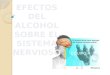 El Alcohol y El Sistema Nervioso (2)