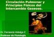 Circulación Pulmonar y Principios Físicos del Intercambio Gaseoso
