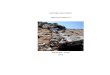 Informe Geologico Chacchaca 2010_SINAI 10