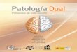 Presentación  Programa Formativo.Protocolos de intervención en Patología Dual
