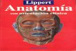 Lippert - Anatomia Con Orientacion Clinica