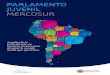 Parlamento Juvenil Mercosur
