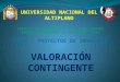 VALORACION CONTINGENTE_G4